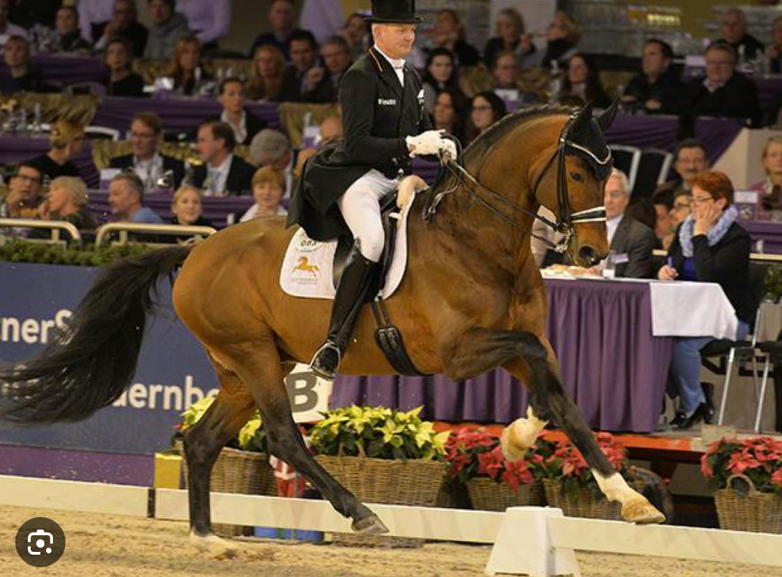 GP POTENTIAL HORSE