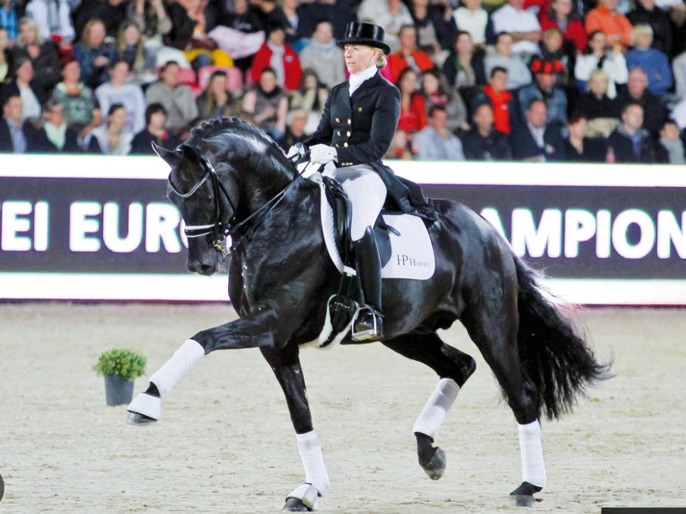 DRESSAGE HORSES IN EUROP